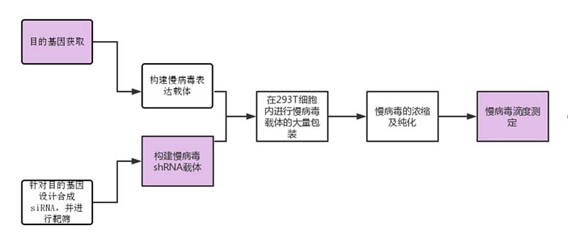 圖片1.jpg